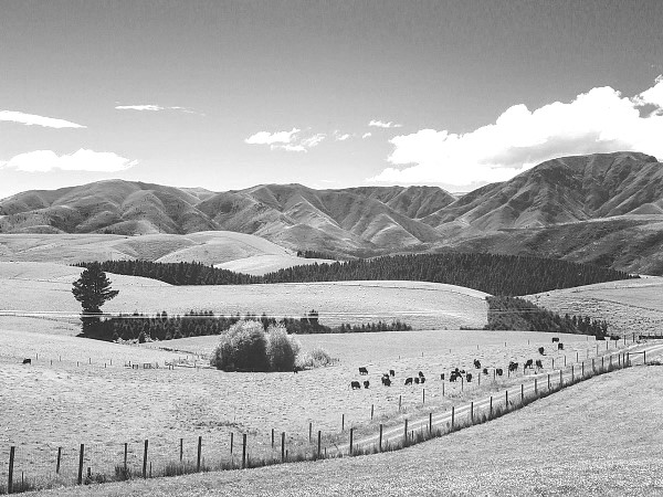 New Zealand Rural Land Company Limited – Restructure and sale of property portfolio